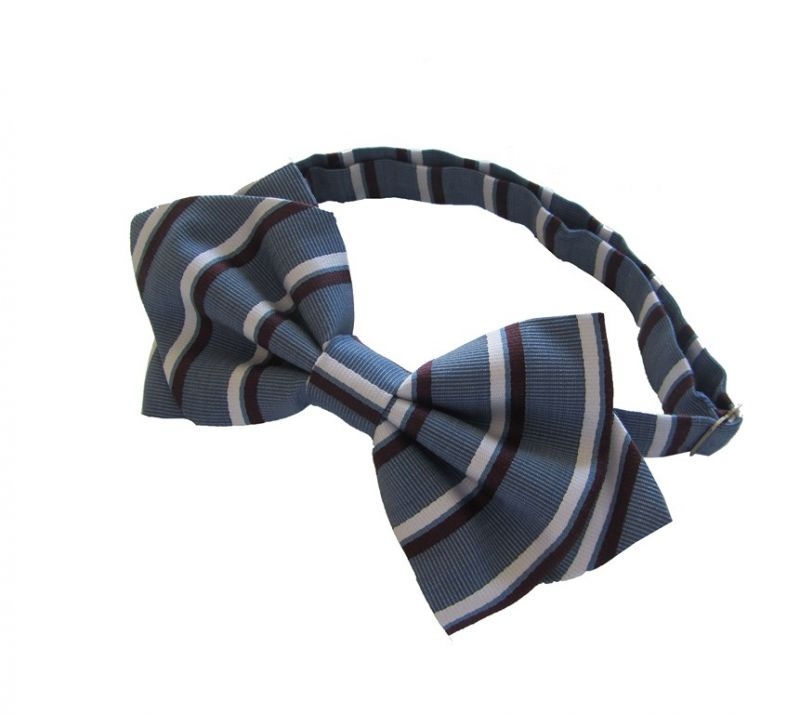 pajarita azul claro rayas 2